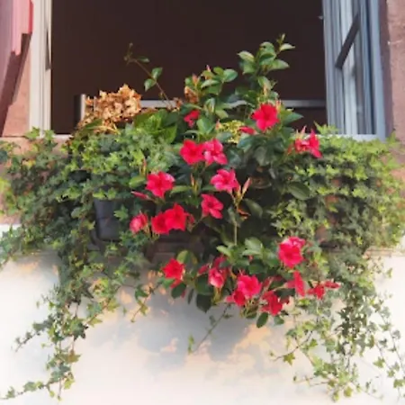 La vita é bella-2